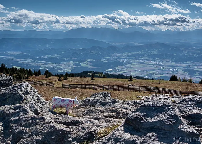 1a Koralpenrast - Wandern, Grillen Mit Aussicht *